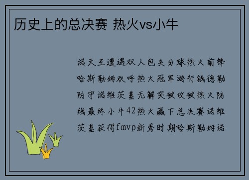 历史上的总决赛 热火vs小牛